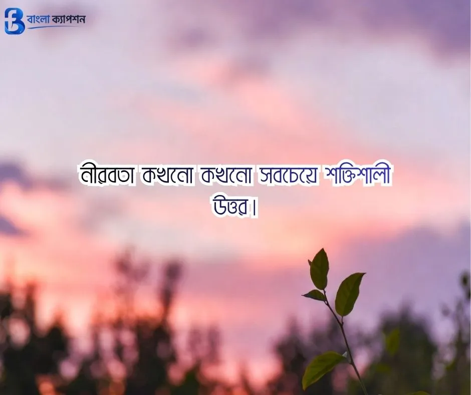 বাংলা ফেসবুক ক্যাপশন