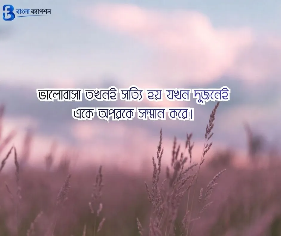 বাংলা ফেসবুক ক্যাপশন