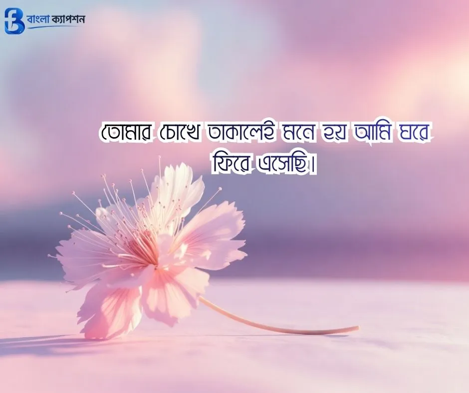 বাংলা ফেসবুক ক্যাপশন