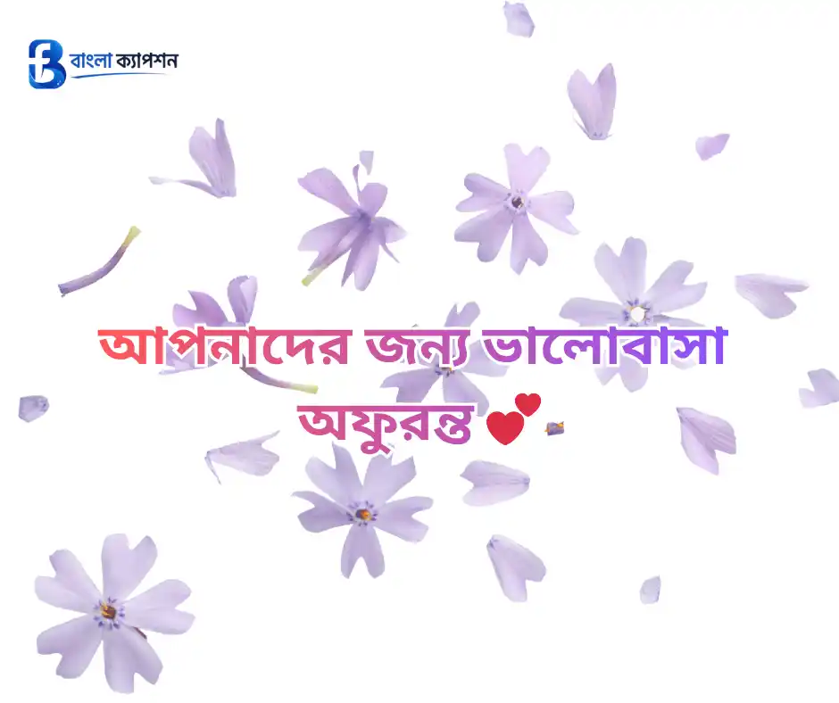 জন্মদিনের ধন্যবাদ ও কৃতজ্ঞতা মেসেজ