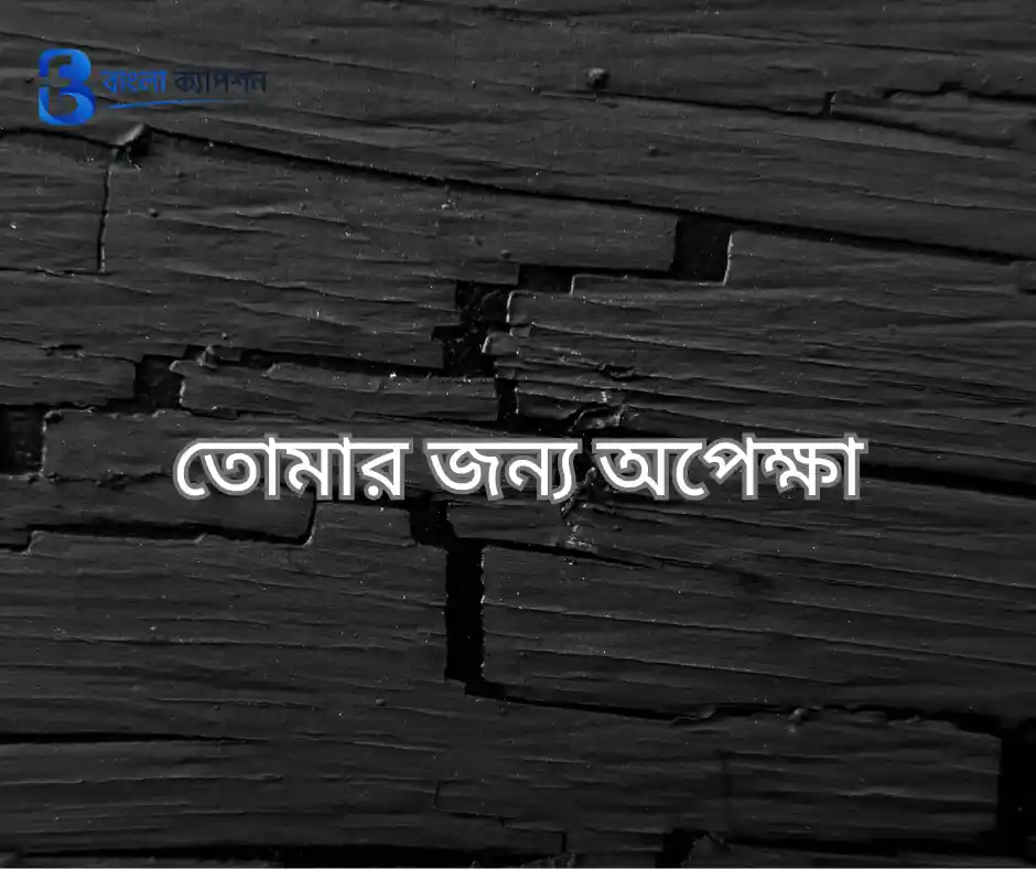 বাংলা ফেসবুক ক্যাপশন