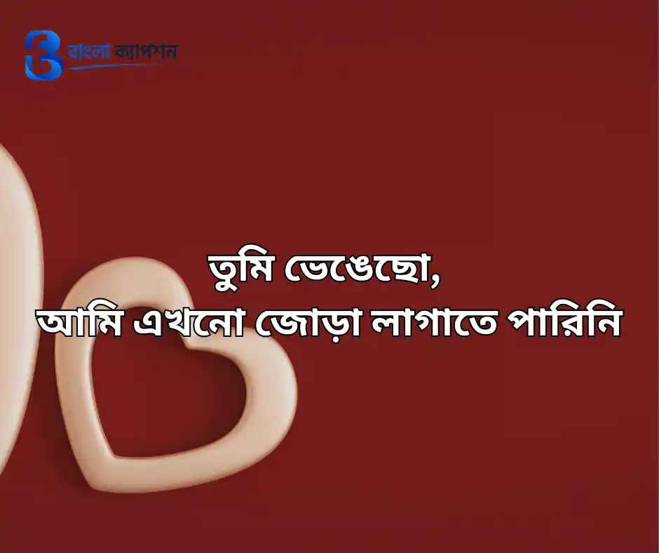 ভালোবাসার বাংলা ক্যাপশন