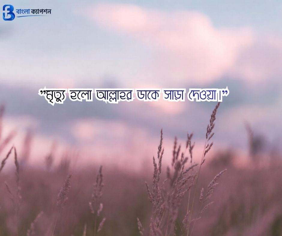 মৃত্যু নিয়ে ক্যাপশন