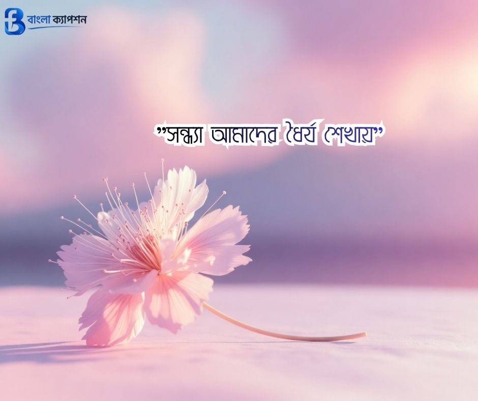 সন্ধ্যা নিয়ে ক্যাপশন