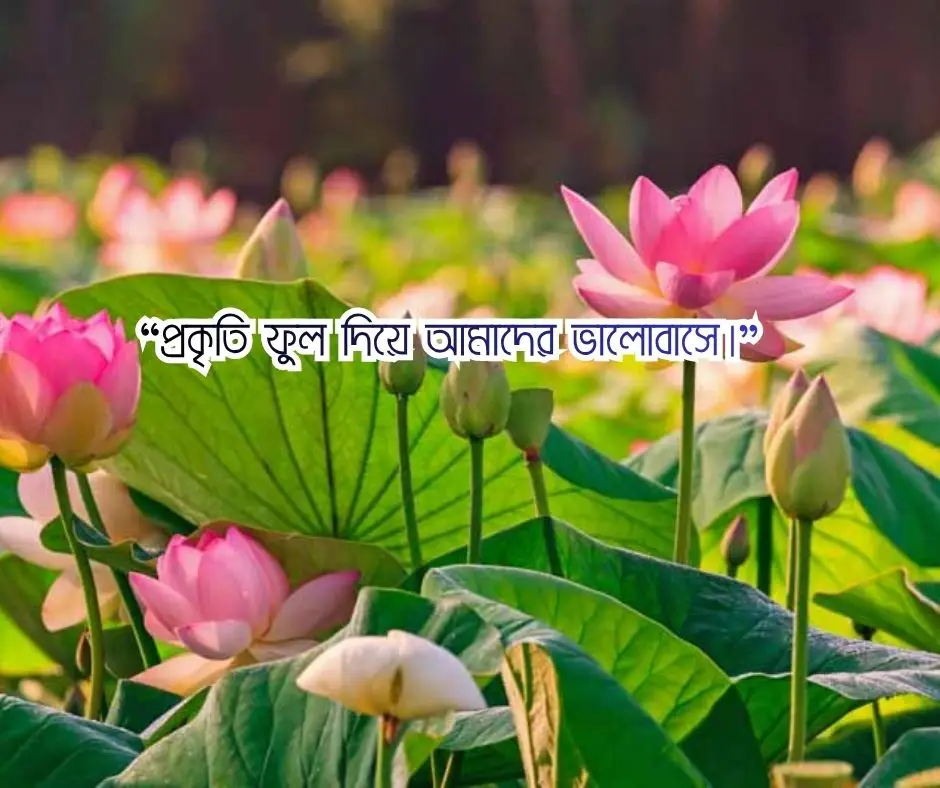 ফুল নিয়ে ক্যাপশন