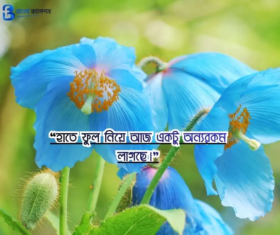 ফুল নিয়ে ক্যাপশন