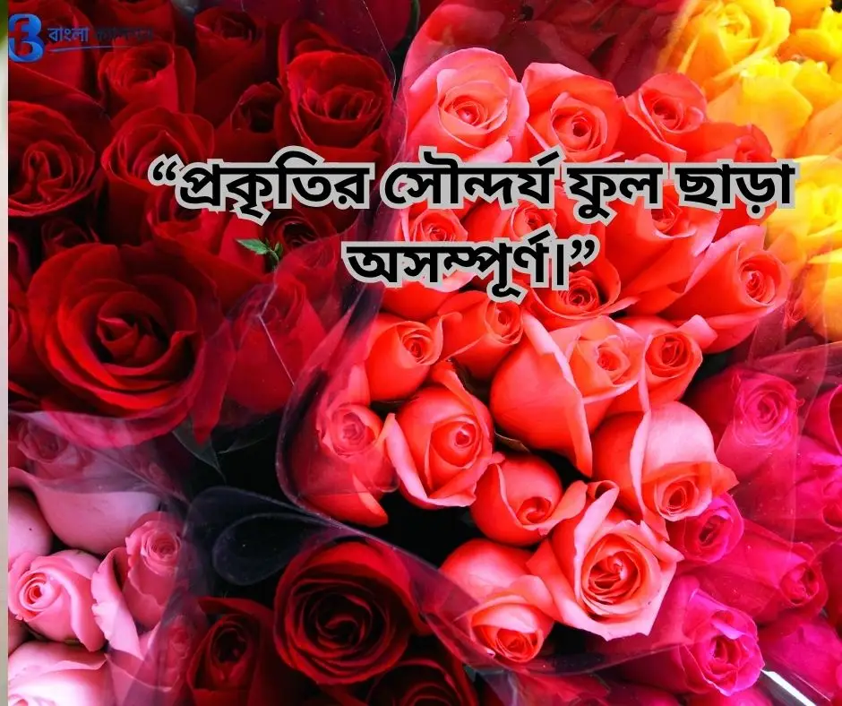 ফুল নিয়ে ক্যাপশন