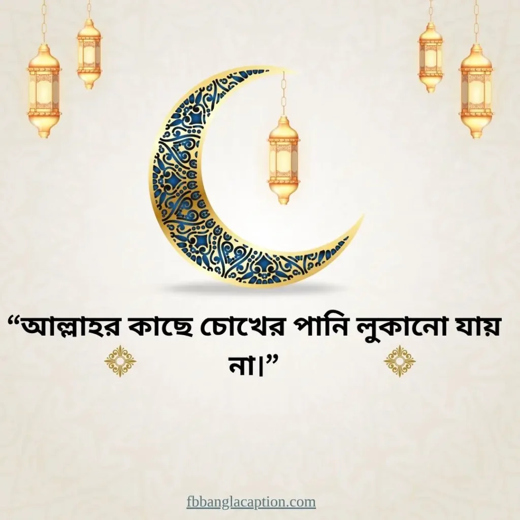 ইসলামিক স্ট্যাটাস