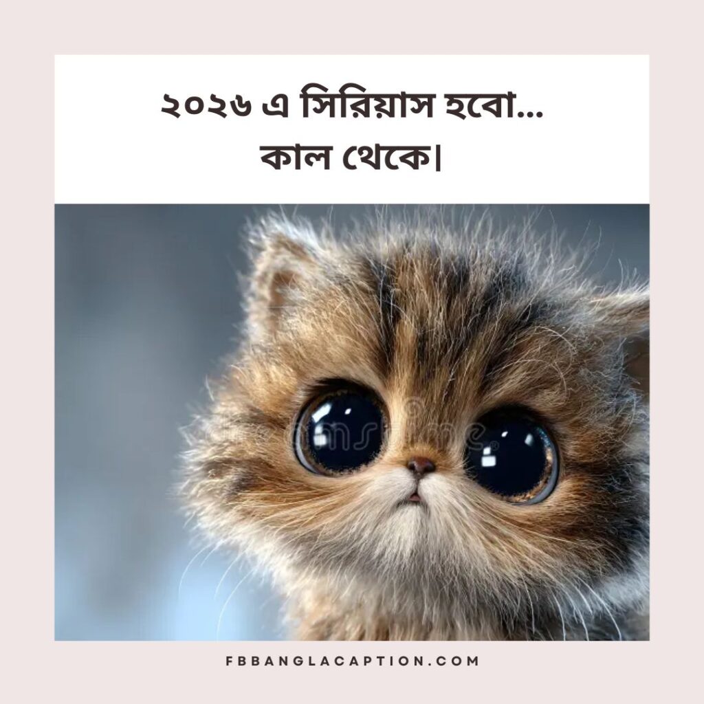 বাংলা ফানি স্ট্যাটাস