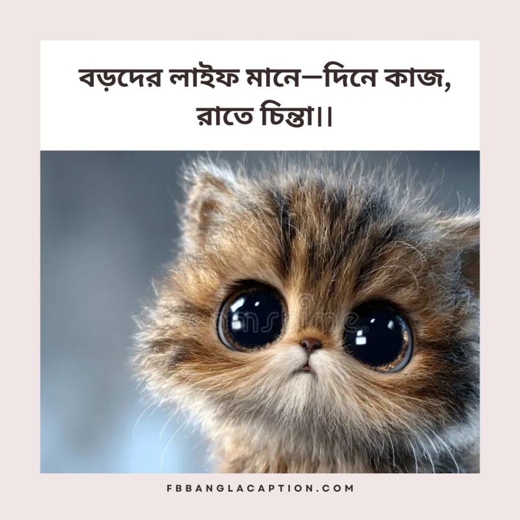 বাংলা ফানি স্ট্যাটাস