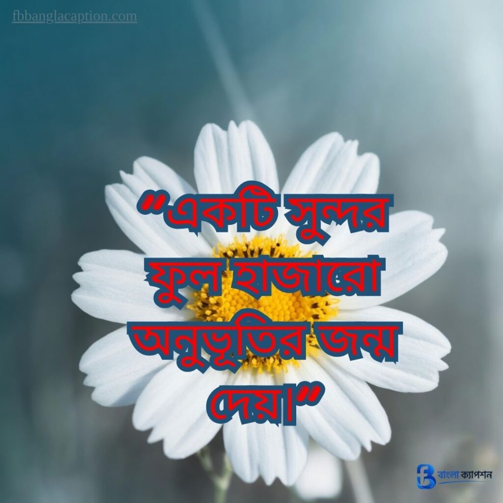  ফুল নিয়ে ক্যাপশন