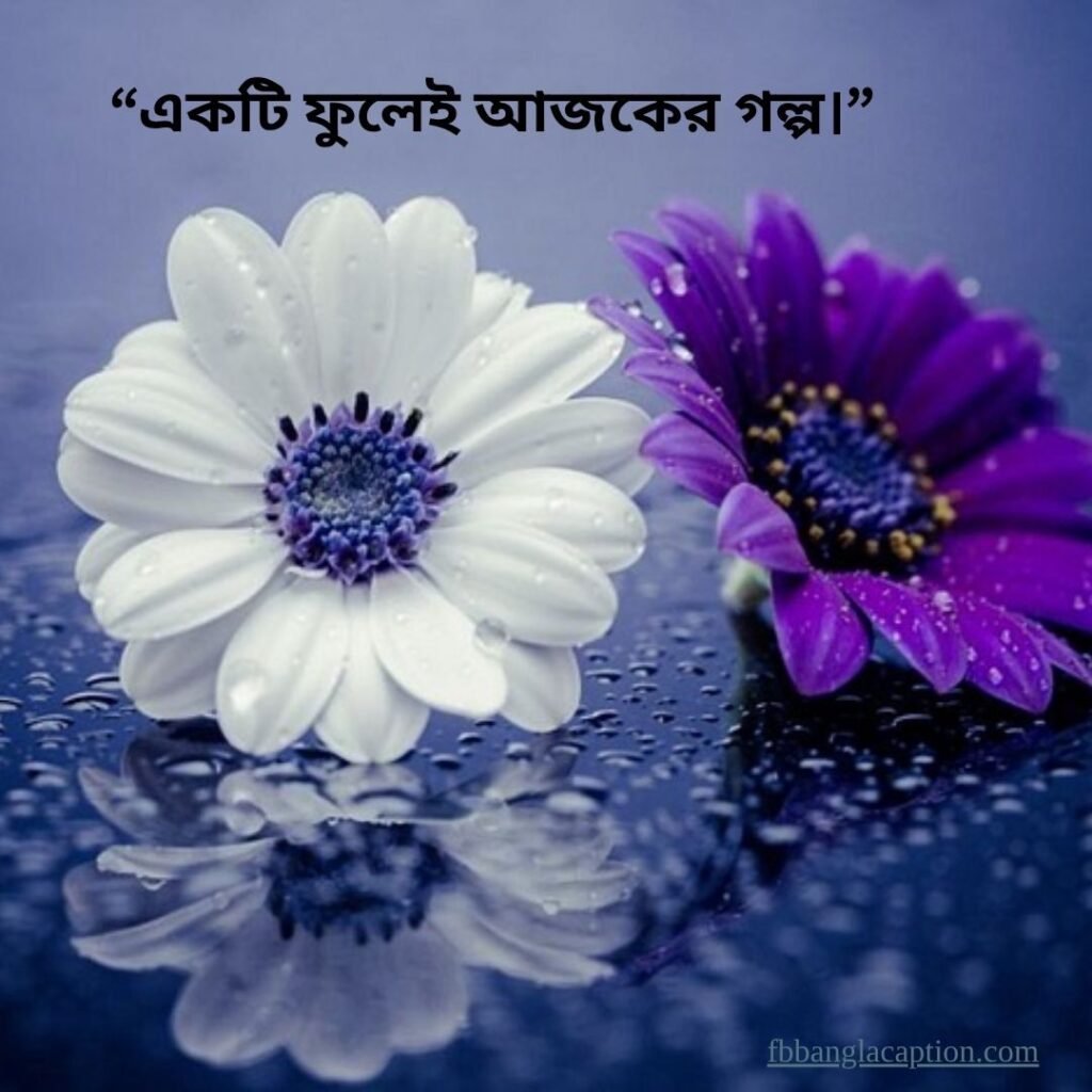  ফুল নিয়ে ক্যাপশন