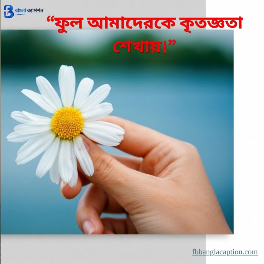  ফুল নিয়ে ক্যাপশন
