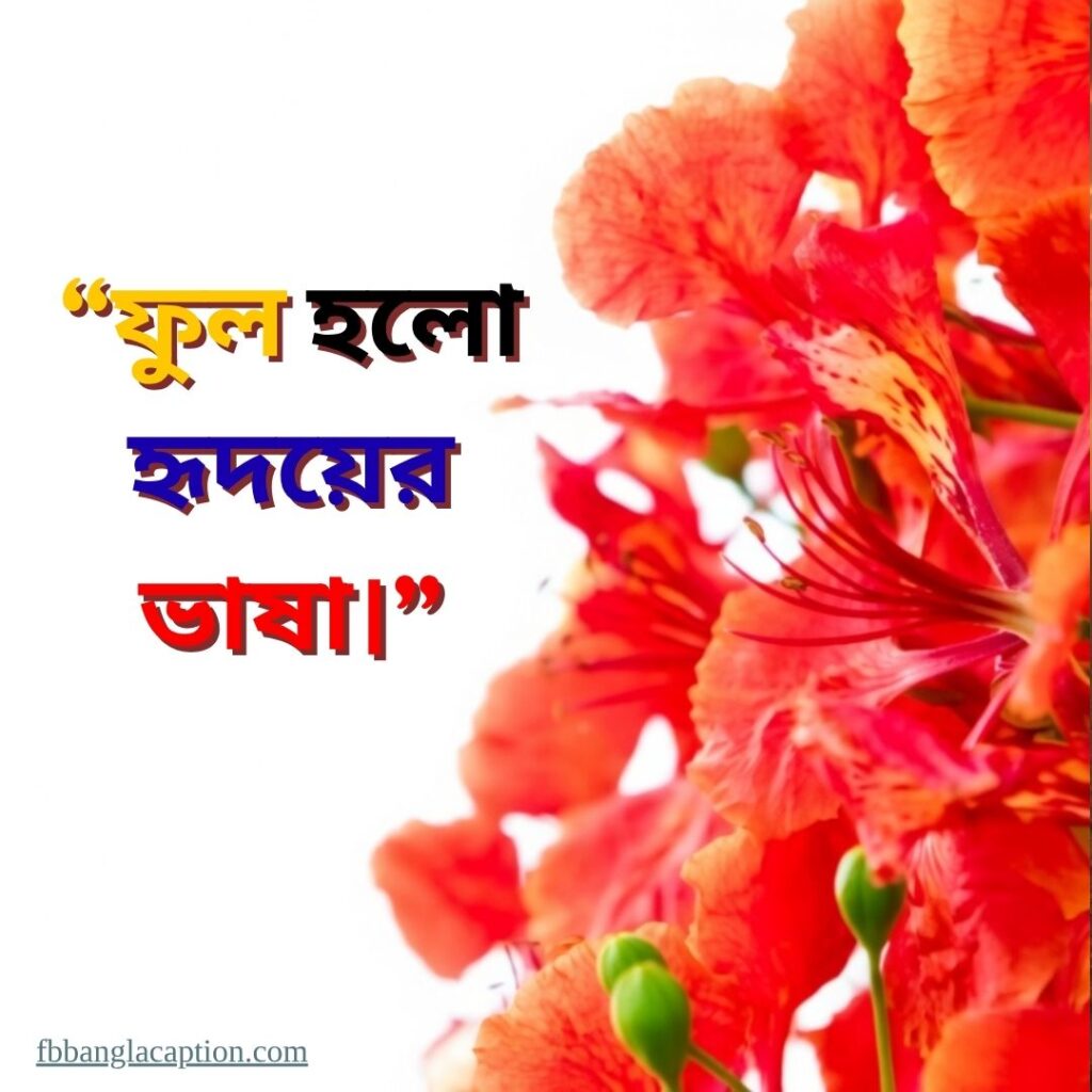  ফুল নিয়ে ক্যাপশন
