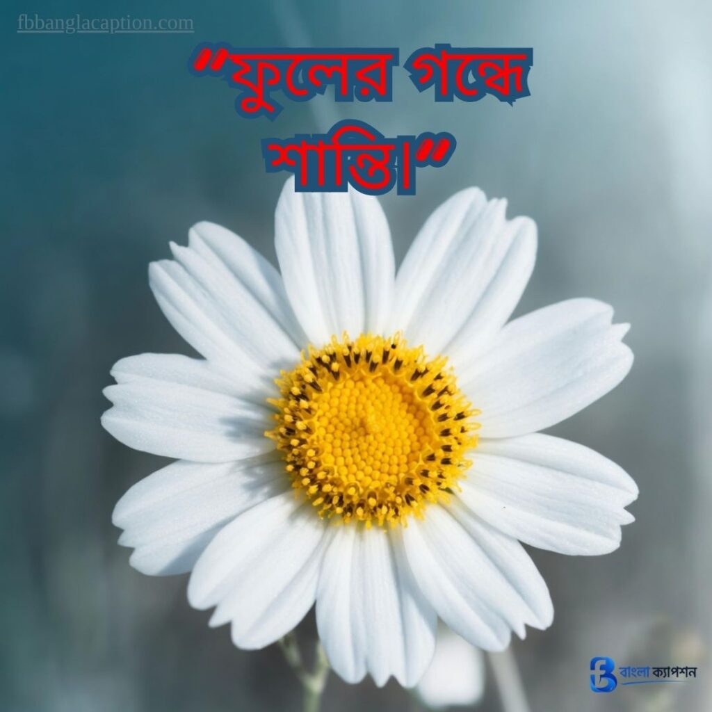  ফুল নিয়ে ক্যাপশন