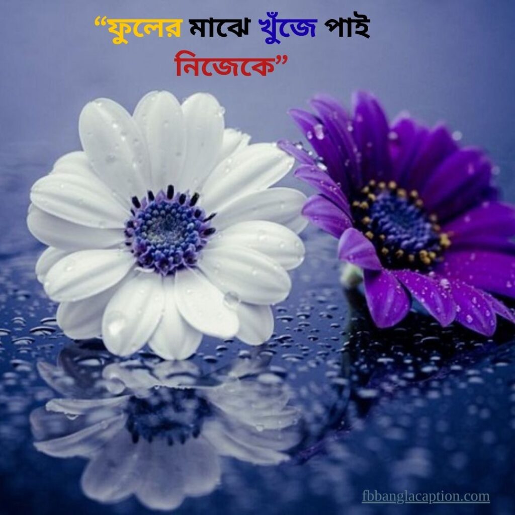 ফুল নিয়ে ক্যাপশন