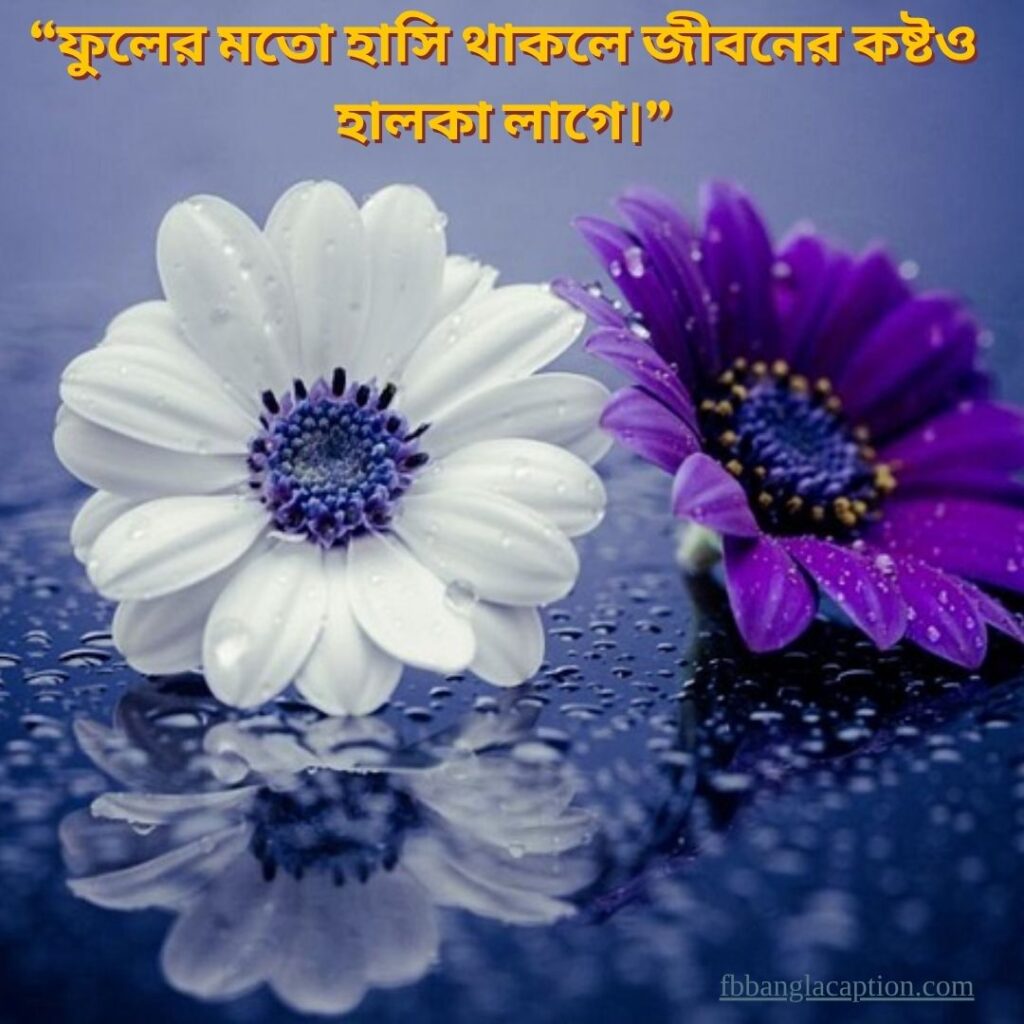  ফুল নিয়ে ক্যাপশন