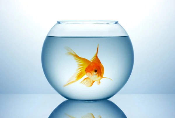 বাস্তবতা নিয়ে ফেসবুক স্ট্যাটাস