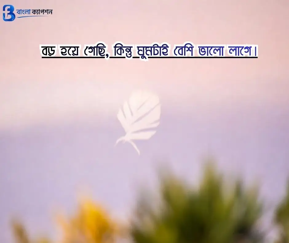 বাংলা ফানি স্ট্যাটাস