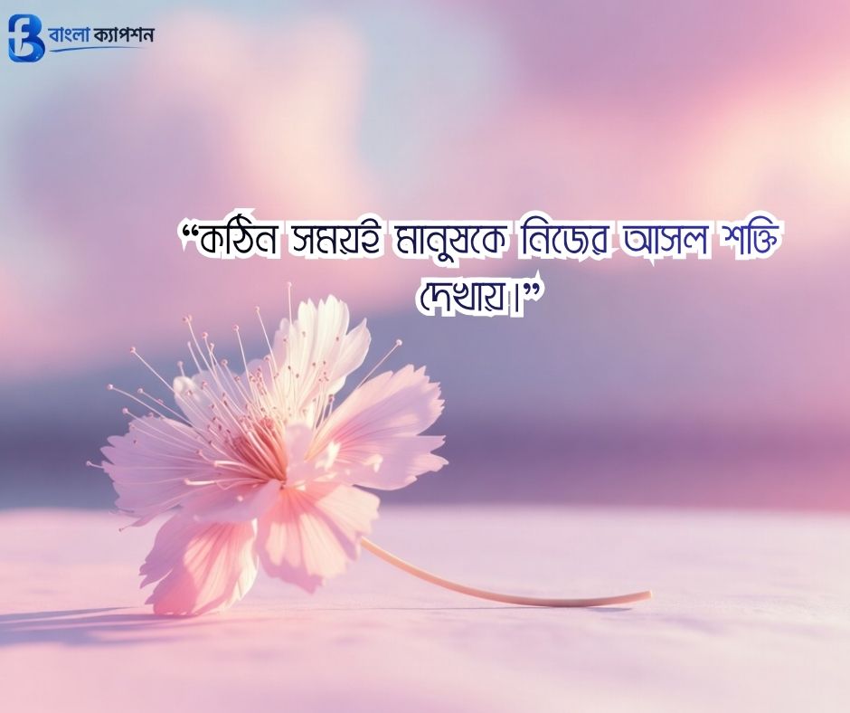 জীবন ও বাস্তবতা