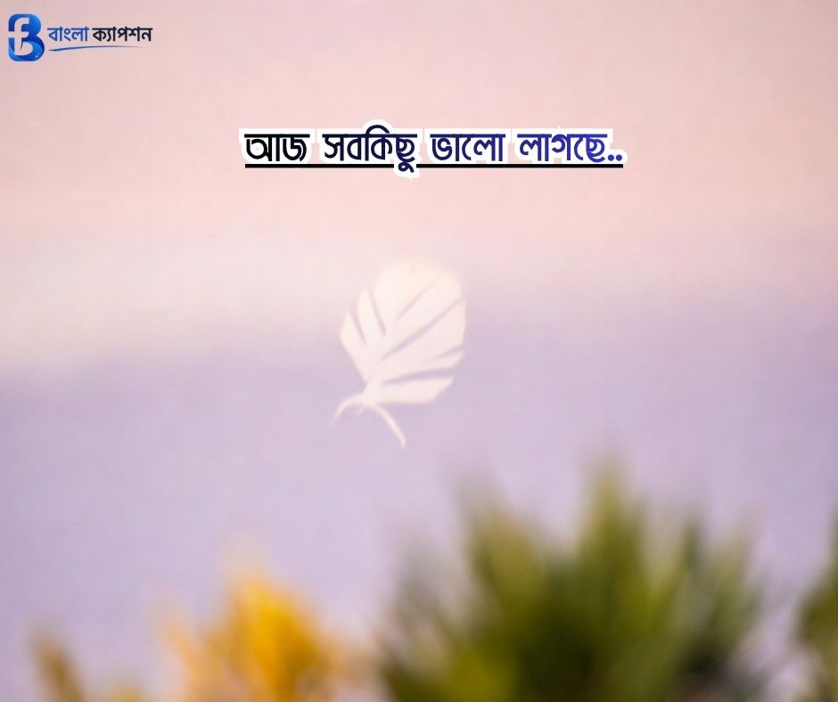 বাংলা শর্ট ক্যাপশন