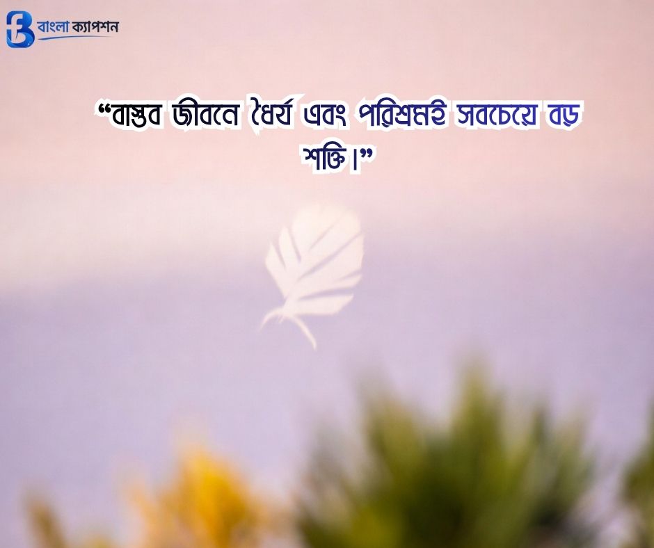 জীবন ও বাস্তবতা