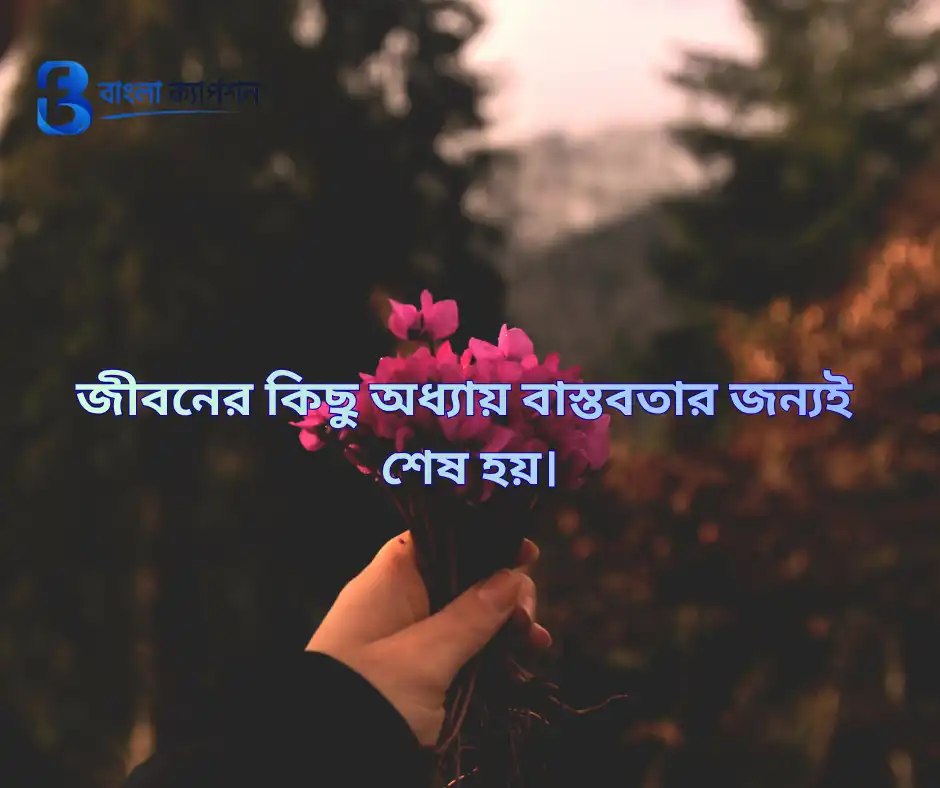 বাস্তবতা নিয়ে ফেসবুক স্ট্যাটাস