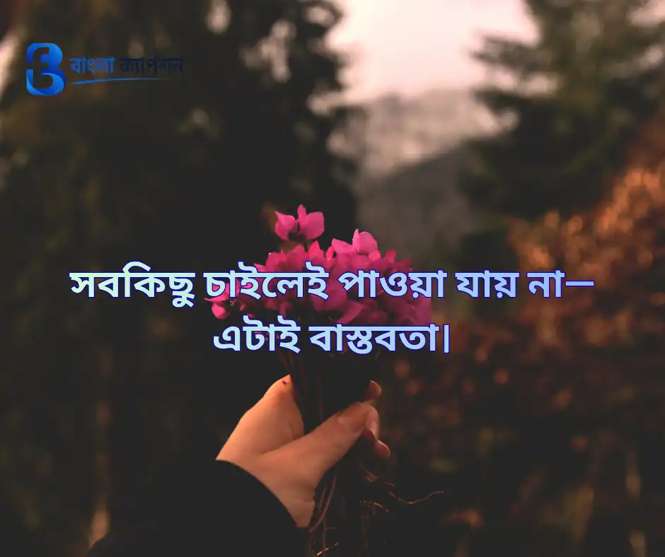 বাস্তবতা নিয়ে ফেসবুক স্ট্যাটাস