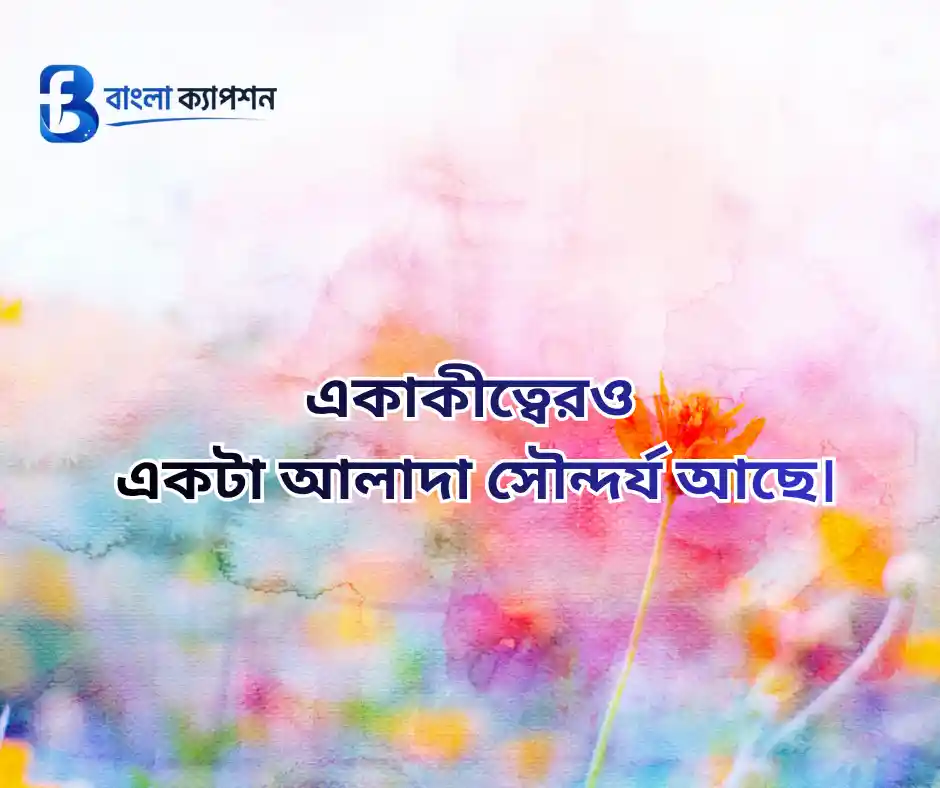 কাব্যিক ক্যাপশন