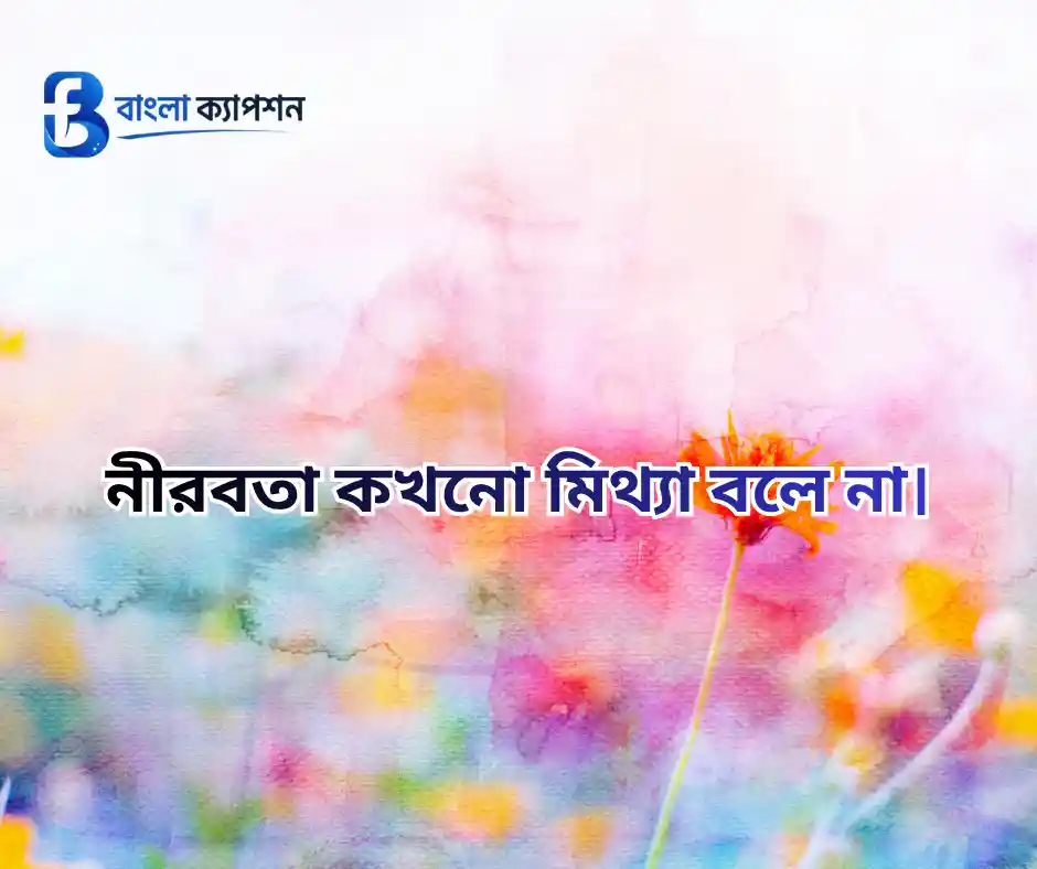 কাব্যিক ক্যাপশন