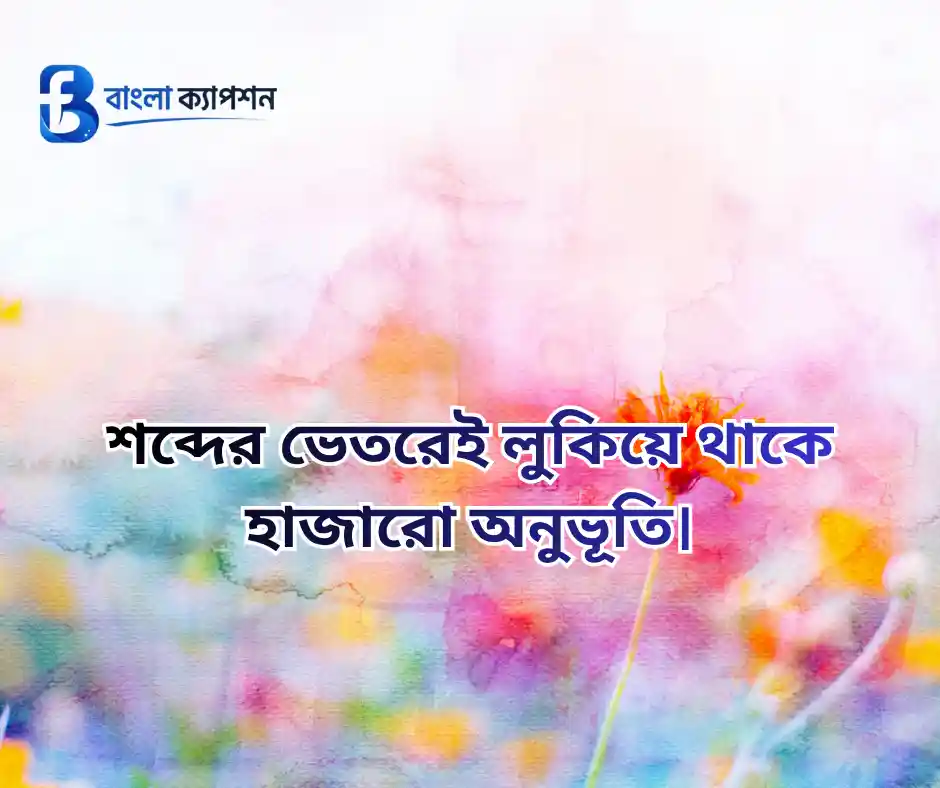 কাব্যিক ক্যাপশন