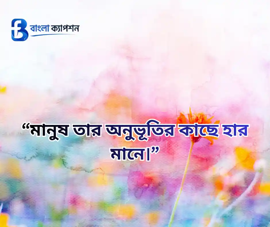 কাব্যিক ক্যাপশন