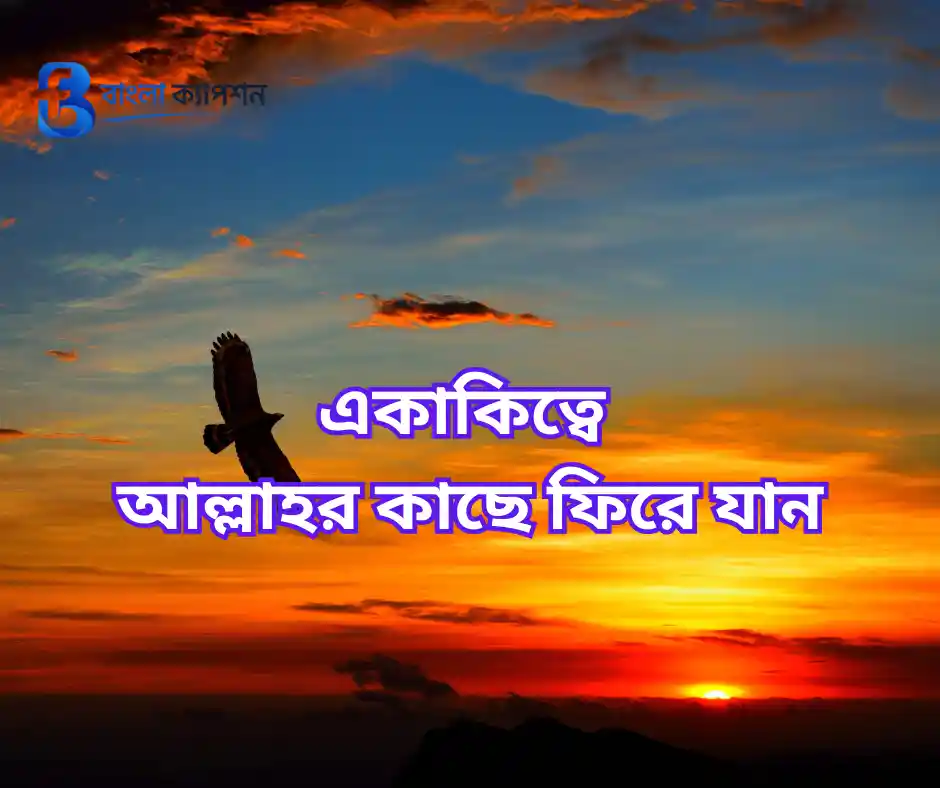 একাকিত্বে আল্লাহর কাছে ফিরে যান