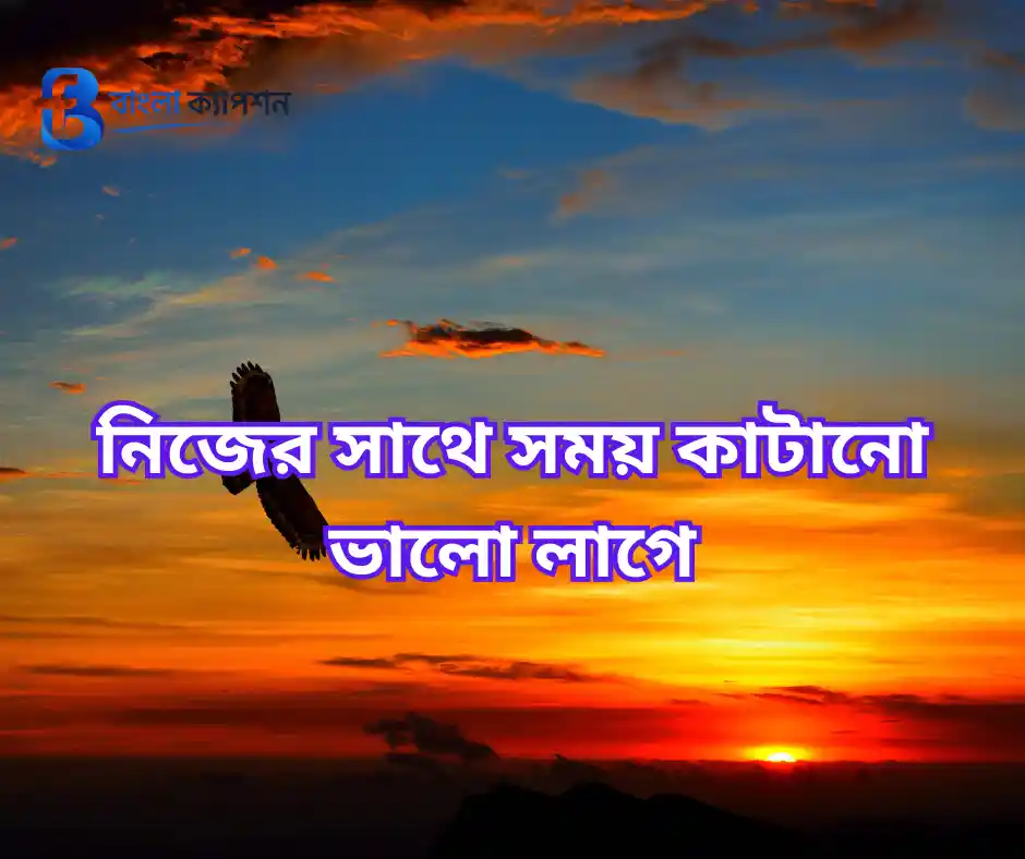 নিজের সাথে সময় কাটানো ভালো লাগে