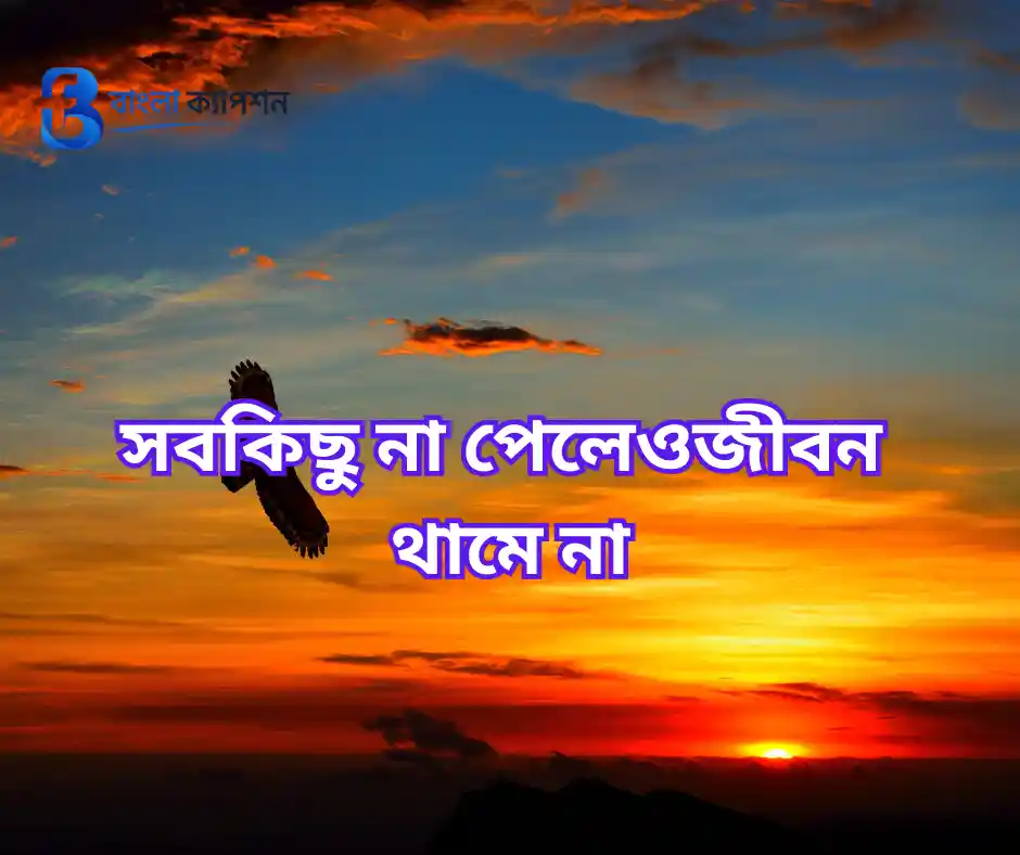 নিজের সাথে সময় কাটানো ভালো লাগে