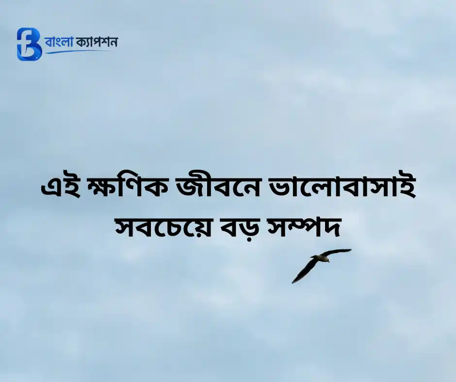জীবন নিয়ে ক্যাপশন