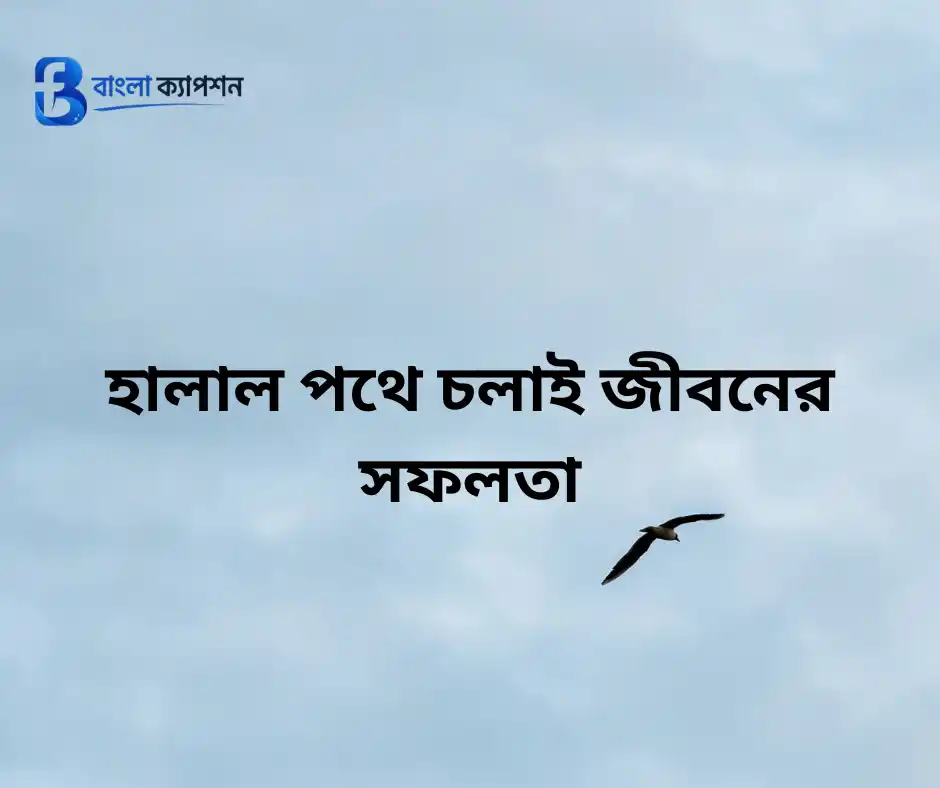জীবন নিয়ে ক্যাপশন