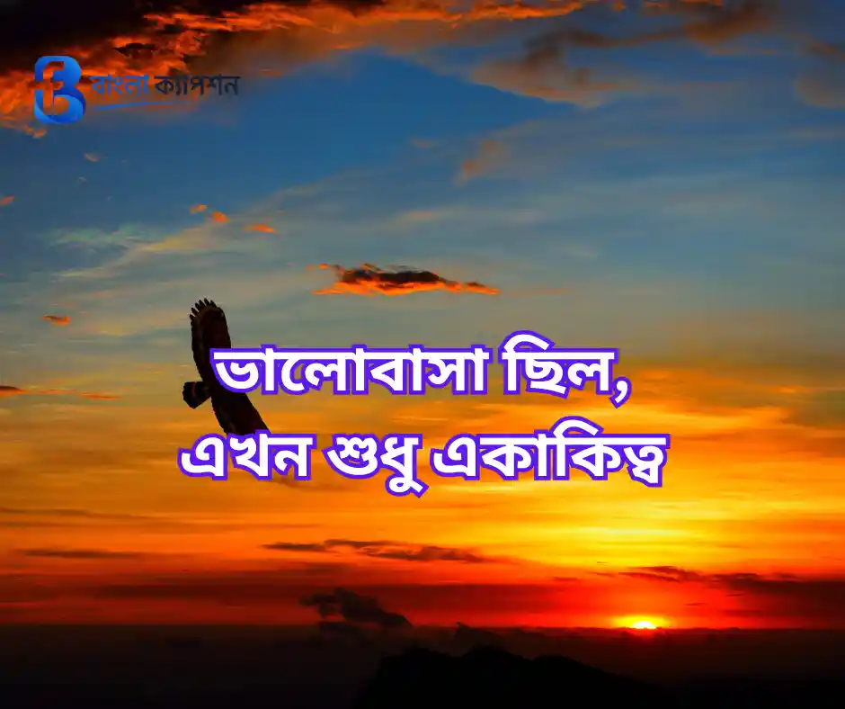 একাকিত্ব জীবন নিয়ে স্ট্যাটাস