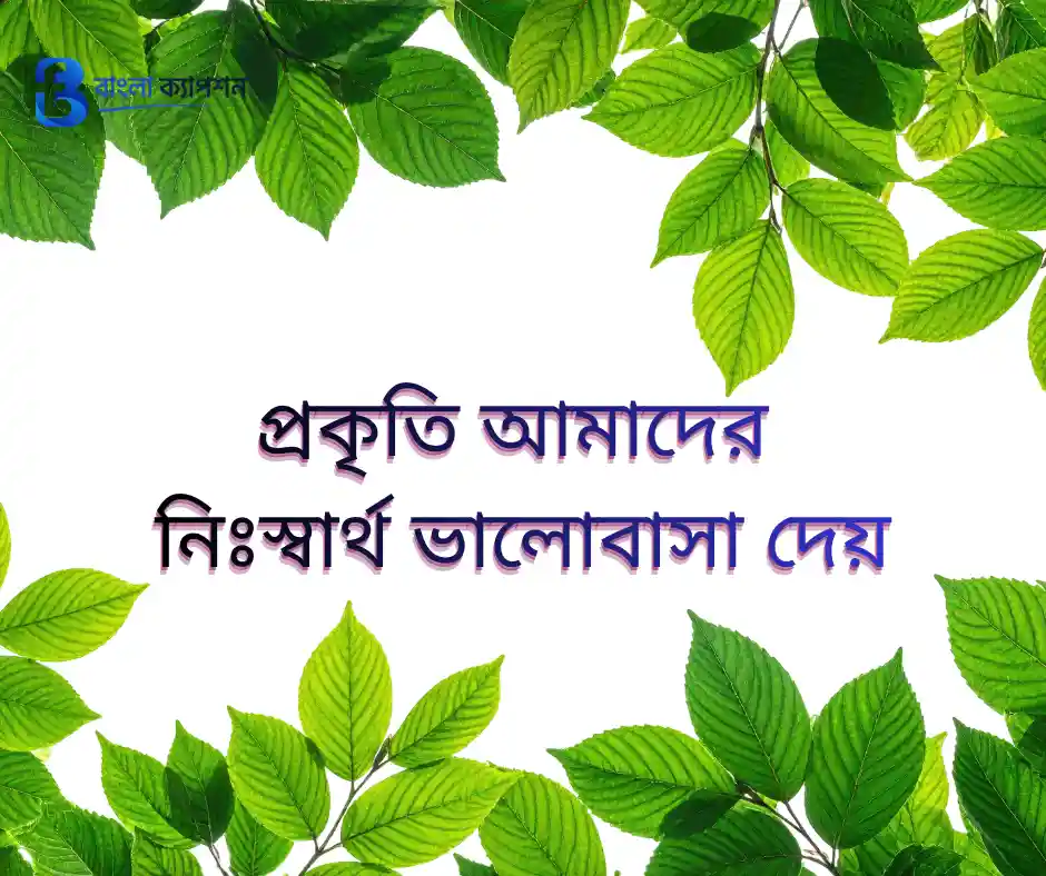 প্রকৃতির নিয়ে ক্যাপশন