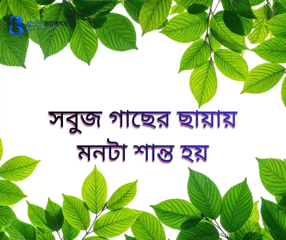 প্রকৃতির নিয়ে ক্যাপশন