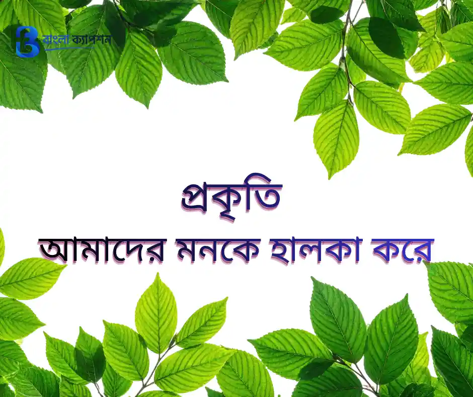 প্রকৃতির নিয়ে ক্যাপশন