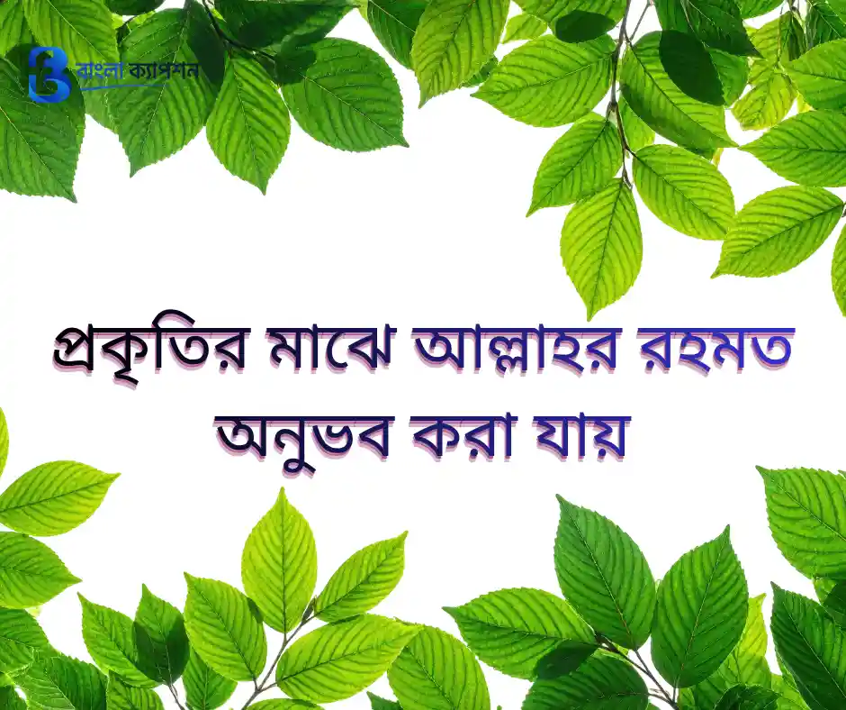 প্রকৃতির নিয়ে ক্যাপশন