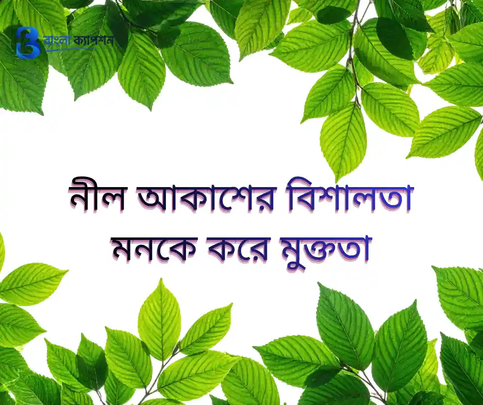 প্রকৃতির নিয়ে ক্যাপশন