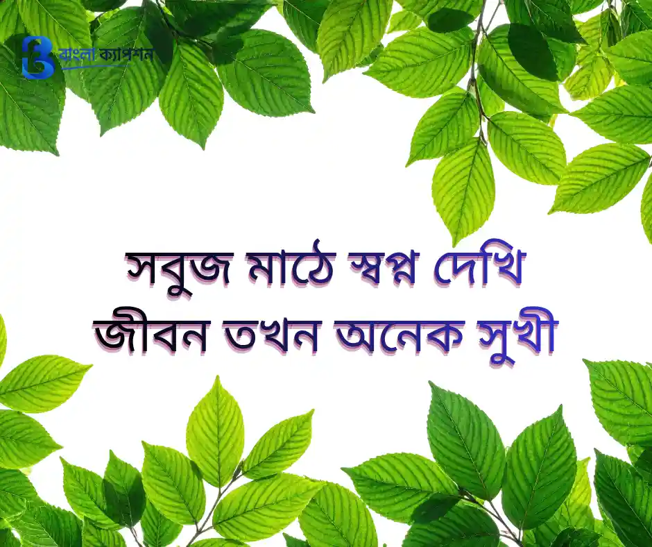 প্রকৃতির নিয়ে ক্যাপশন
