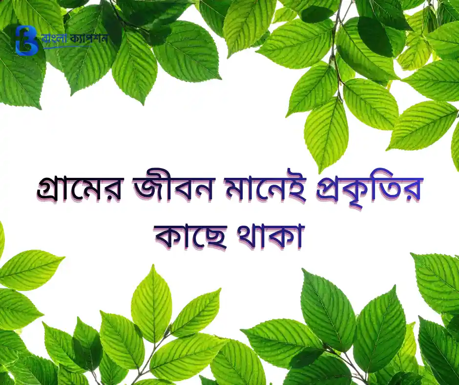 প্রকৃতির নিয়ে ক্যাপশন