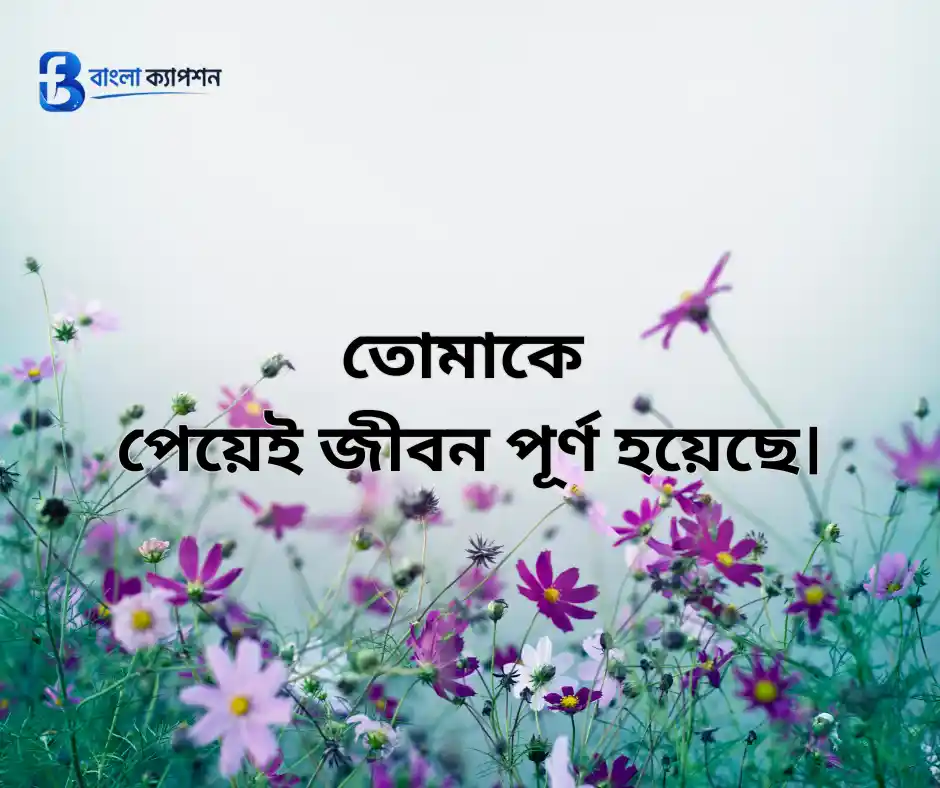প্রিয় মানুষকে নিয়ে স্ট্যাটাস
