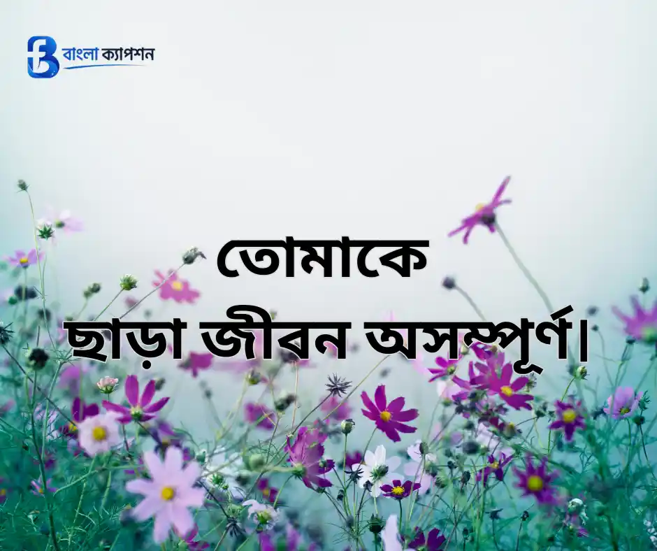 প্রিয় মানুষকে নিয়ে স্ট্যাটাস