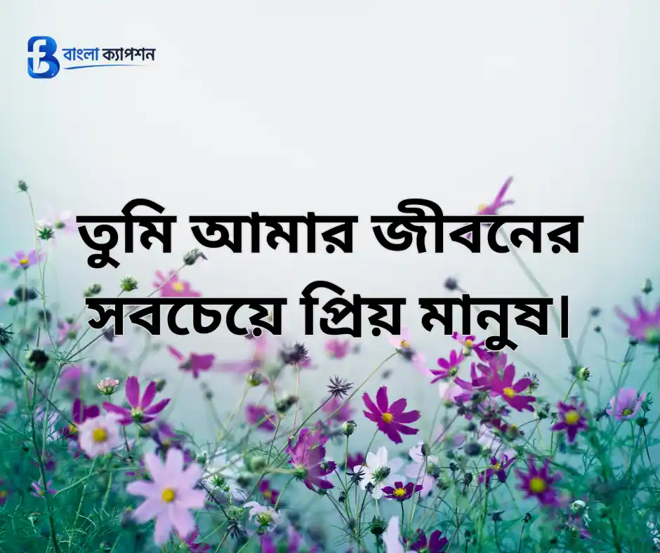 প্রিয় মানুষকে নিয়ে স্ট্যাটাস