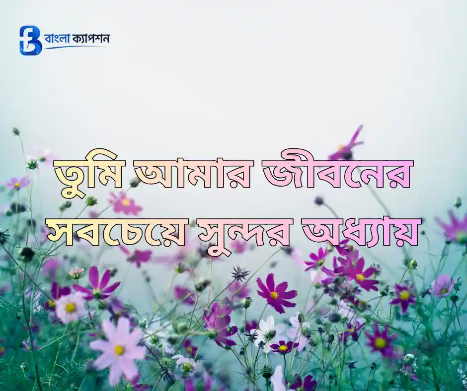 প্রিয় মানুষকে নিয়ে স্ট্যাটাস
