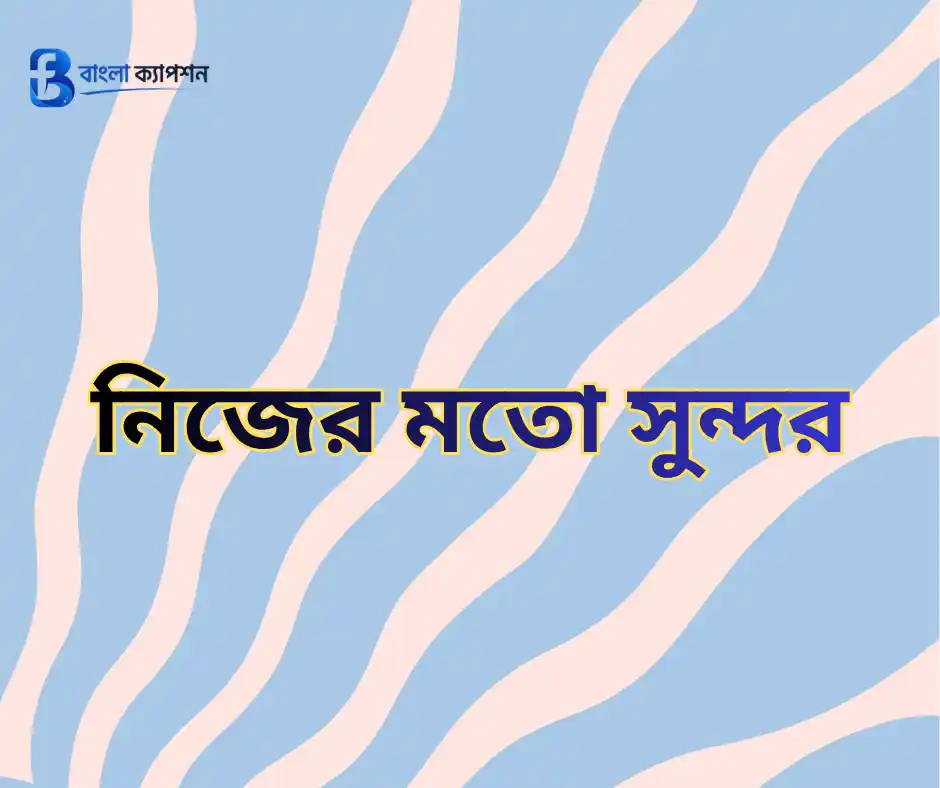 প্রোফাইল পিক ক্যাপশন বাংলা